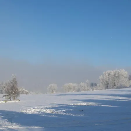 Appartement Welcome In - 59-g 'leni' Direkt An Der Piste, Mit Balkon, Sauna Und Schwimmbad