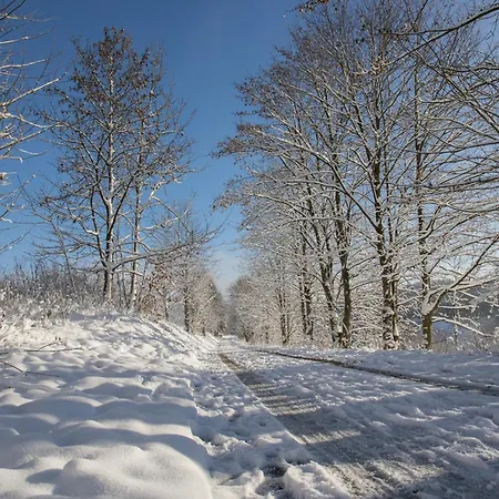 Welcome In - 59-g 'leni' Direkt An Der Piste, Mit Balkon, Sauna Und Schwimmbad